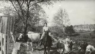 Appraisal: LEWIS W HINE American - NEAR ELIZABETHTOWN KY Silver gelatin