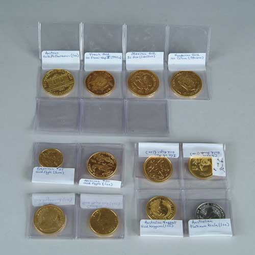 Appraisal: COIN LOT OF TWELVE ONE OUNCE GOLD AND PLATINUM COINS