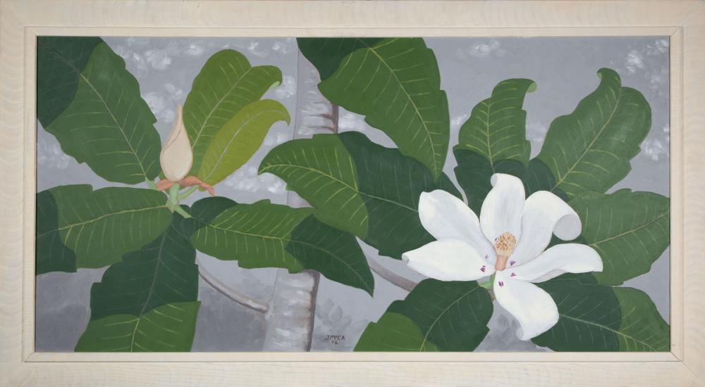 Appraisal: James McConnell Mac Anderson American Mississippi - Swamp Magnolia oil