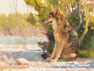 Appraisal: Bob Kuhn - Shady Spot acrylic on board inchessigned lower