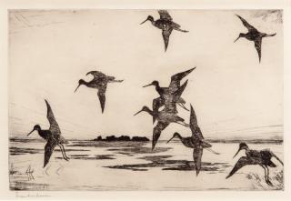 Appraisal: Frank W Benson - Yellowlegs at Dusk signed Frank W