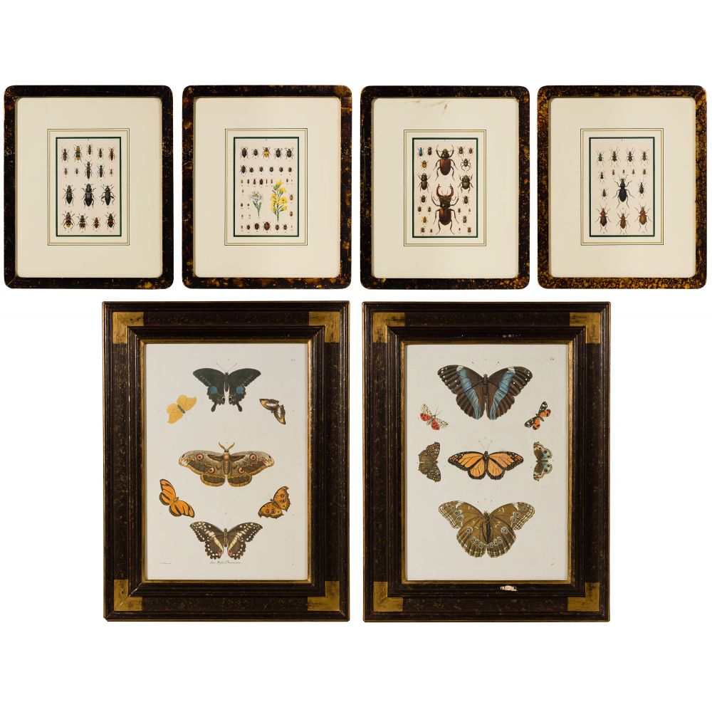 Appraisal: ENTOMOLOGY COLORED ETCHING AND PRINT ASSORTMENT items including smaller numbered