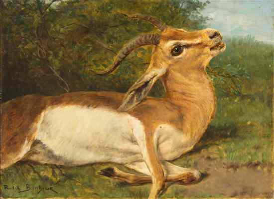 Appraisal: Rosa Bonheur French - Antelope oil on canvas signed Rosa