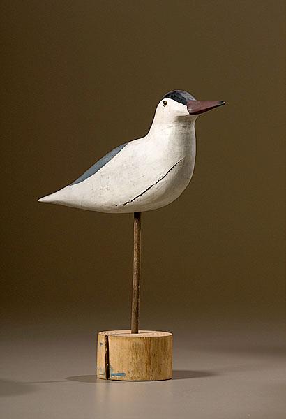 Appraisal: SHOREBIRD DECOY OF ARTIC TERN American mid to late th