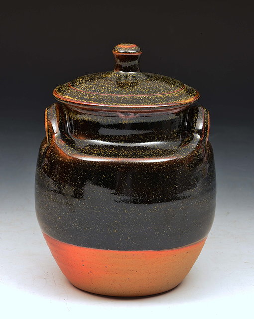 Appraisal: Ray Finch at Winchcombe PotteryJar and cover in tenmoku glaze