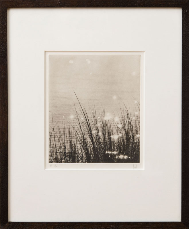 Appraisal: RAY CHARLES WHITE b GRASS WITH WATER Photogravure on paper