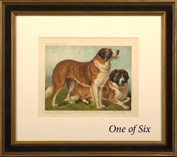 Appraisal: British School Late th Century Dogs suite of six color