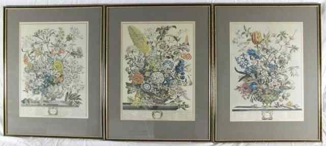 Appraisal: after Pieter Casteels February August and October three framed botanical