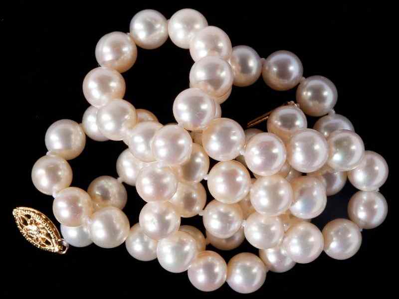 Appraisal: Cultured Pearl Necklacedesigned as a single strand of cultured pearls