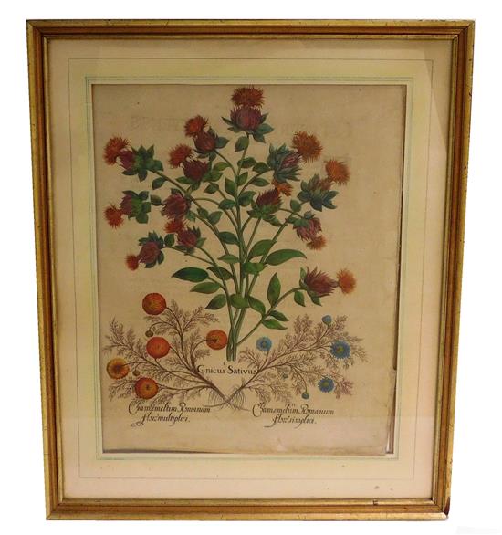 Appraisal: Early botanical print depicting three different flowers hand-painted possibly removed