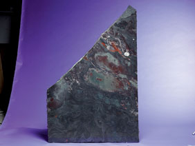 Appraisal: A HUGE SLAB OF STROMATOLITE Billion Years old Mary Ellen