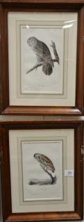 Appraisal: Set of six Audubon prints Drawn from nature by J