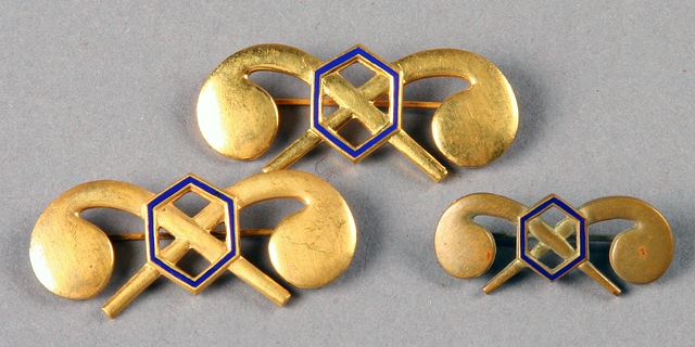 Appraisal: Gas and Chemical corps insignia match pair long single long