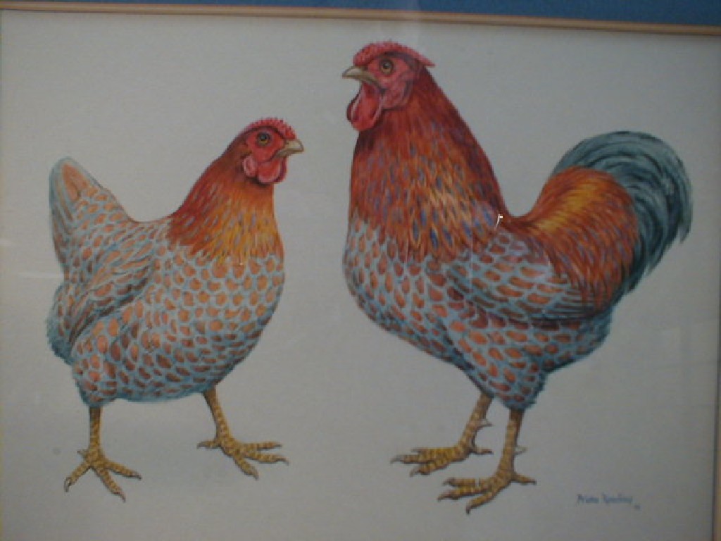 Appraisal: Brian Rawling Subject Speckled hen and rooster Medium Watercolour on