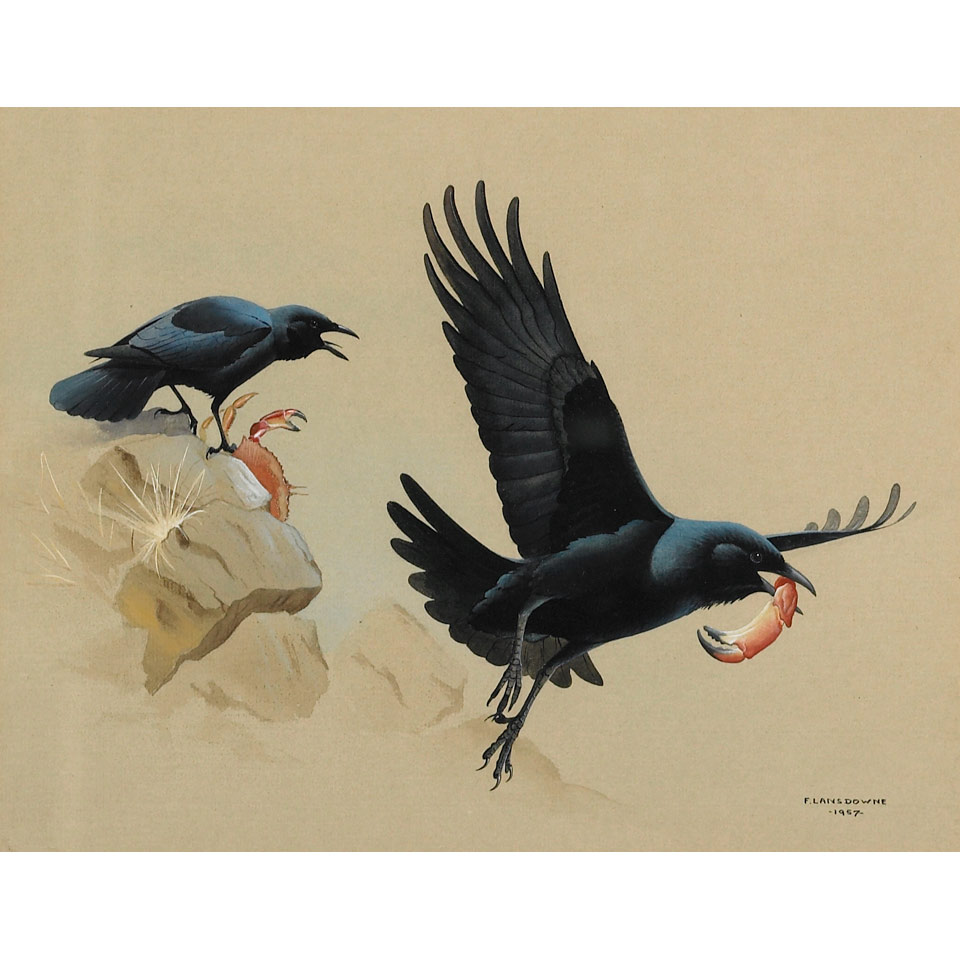 Appraisal: JAMES FENWICK LANSDOWNE PREYING CROWS signed and dated medium watercolour