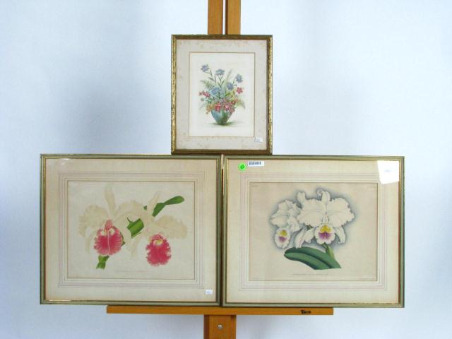 Appraisal: Three floral botanical prints two matching x as framed one