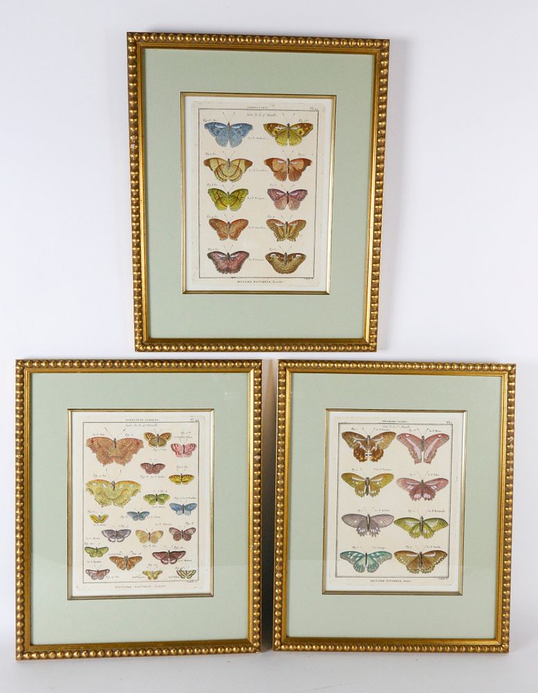 Appraisal: Set of Antique French Handcolored Engravings of Butterflies Set of