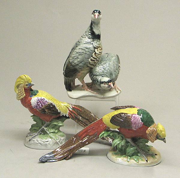 Appraisal: A group of German porcelain avian studies second half th