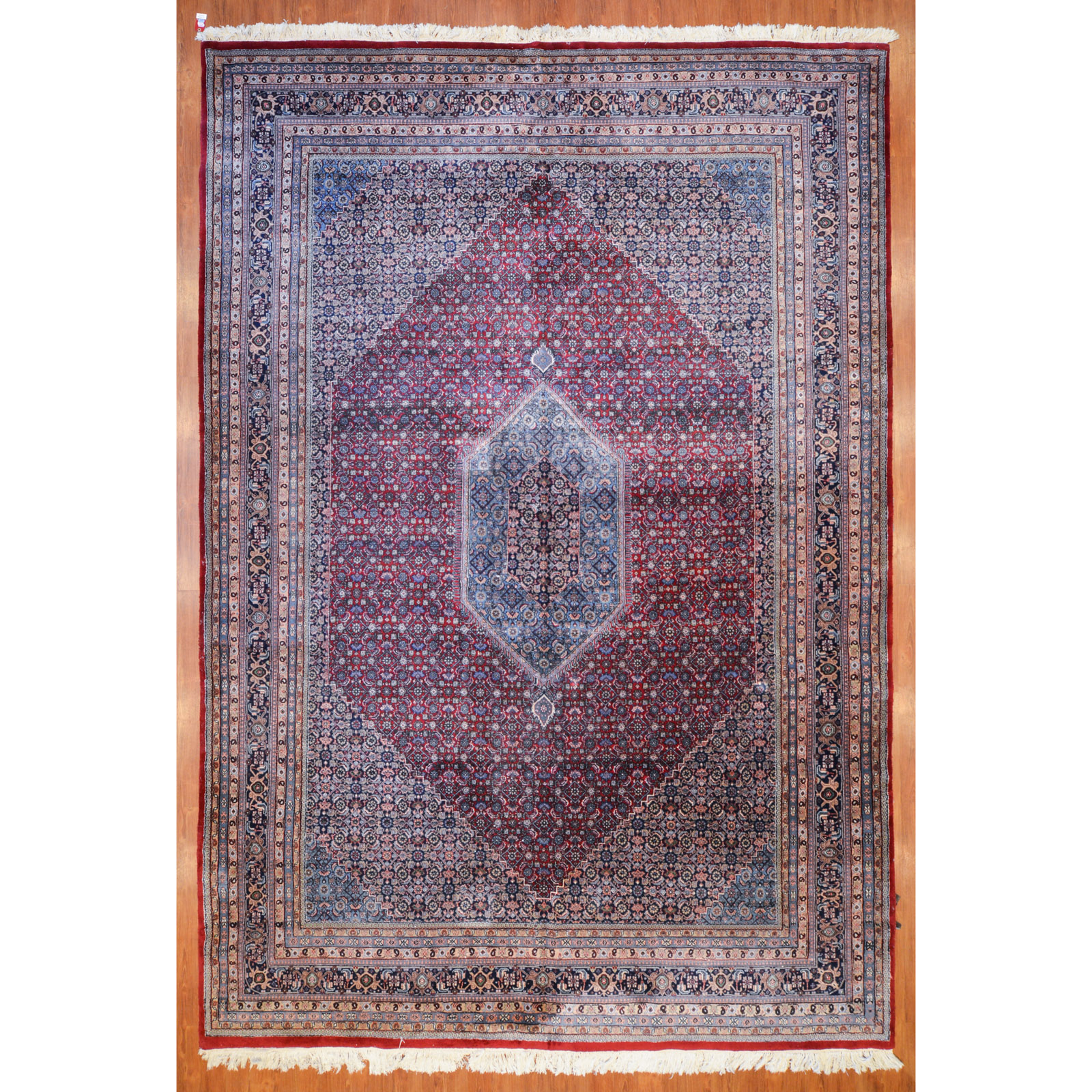 Appraisal: INDO BIJAR CARPET INDIA X Fourth quarter- th century hand-knotted