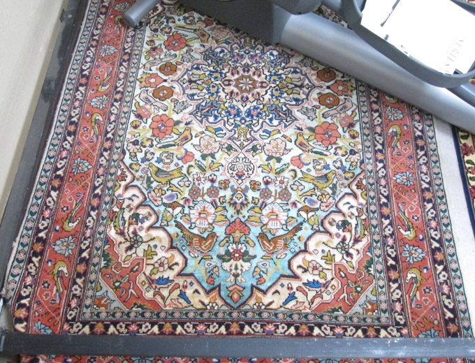 Appraisal: HAND KNOTTED PERSIAN AREA RUG flowers birds and central medallion