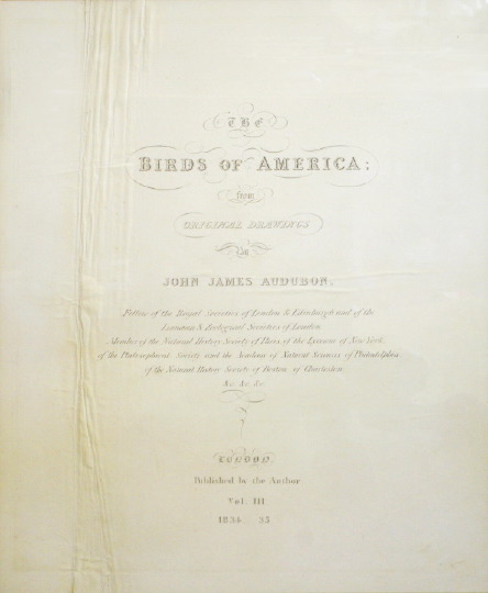 Appraisal: Framed Frontispiece from John James Audubon's The Birds of America