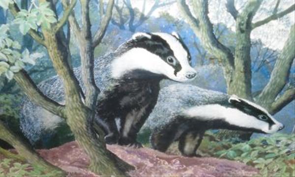 Appraisal: After Tunnicliffe The badgers emerge Polychrome print Signed in pencil