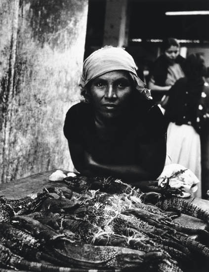 Appraisal: ROGOVIN MILTON - Untitled iguana seller Untitled five women Together