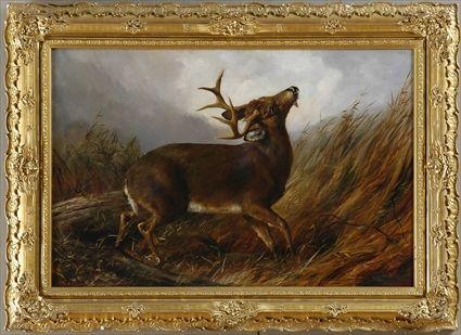 Appraisal: ARTHUR FITZWILLIAM TAIT - WOUNDED STAG Oil on canvas relined