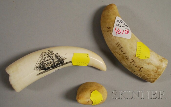 Appraisal: Scrimshaw-decorated Whale's Tooth and Two Simulated Whale's Teeth lg to