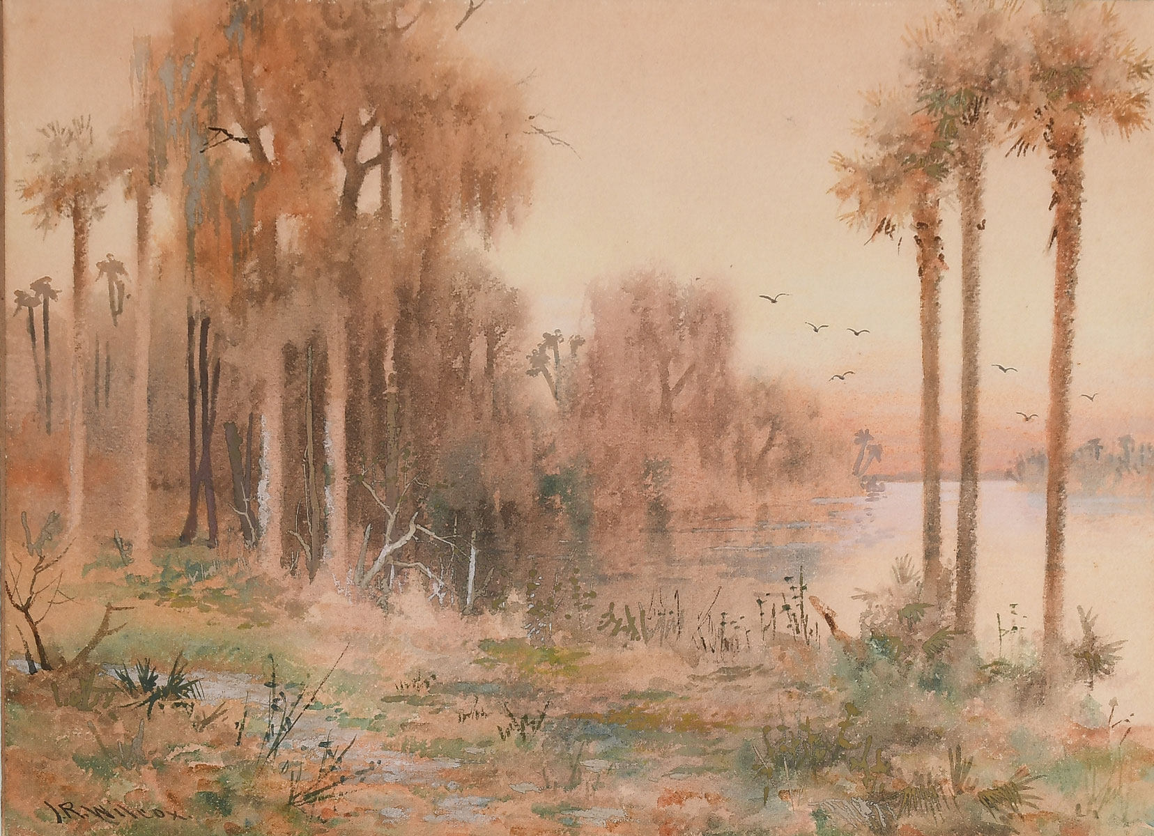 Appraisal: WILCOX James Ralph American Canadian - ''Palms on the River''