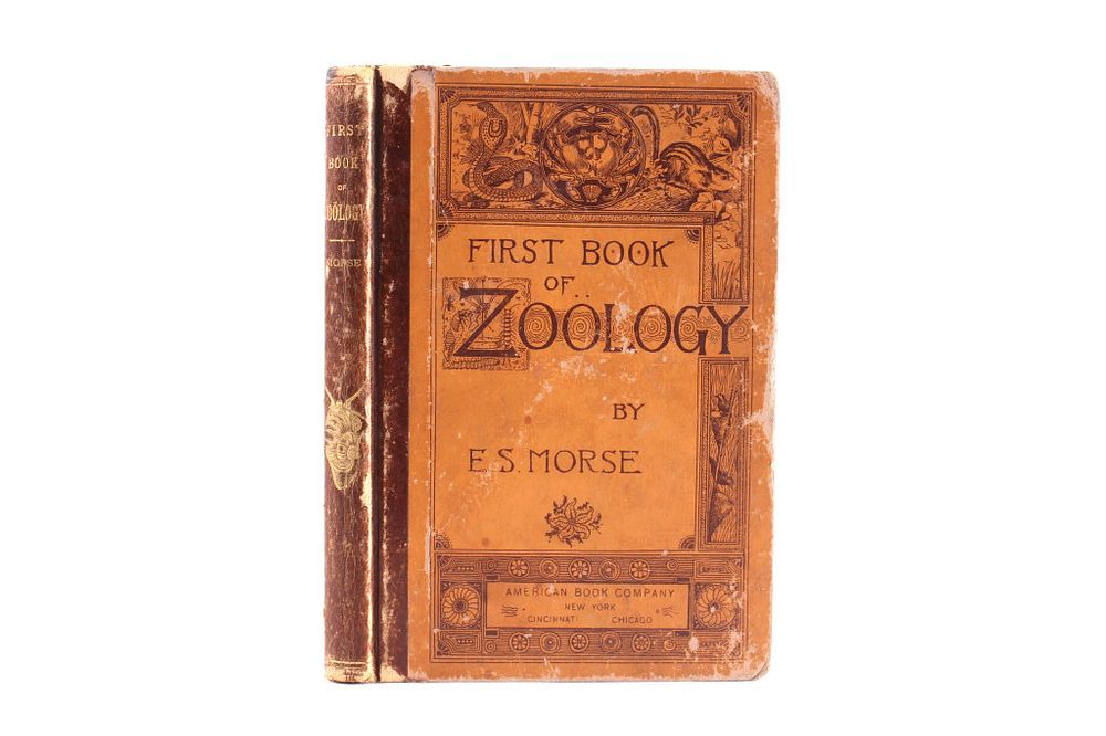 Appraisal: First Book of Zoology by Edward Morse For your consideration