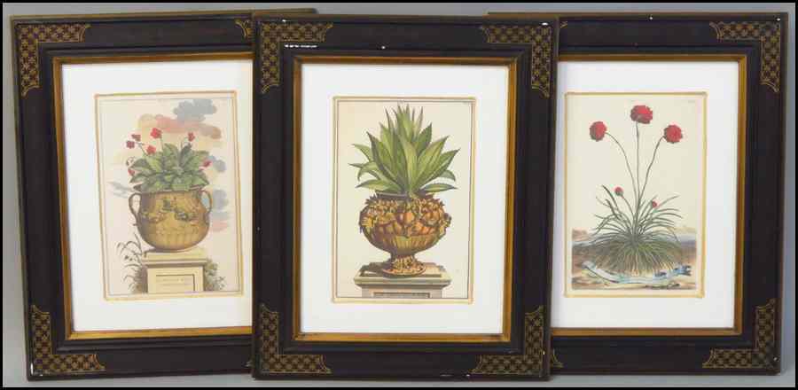 Appraisal: GROUP OF SIX FRAMED TH CENTURY BOTANICAL PRINTS Offset lithographs