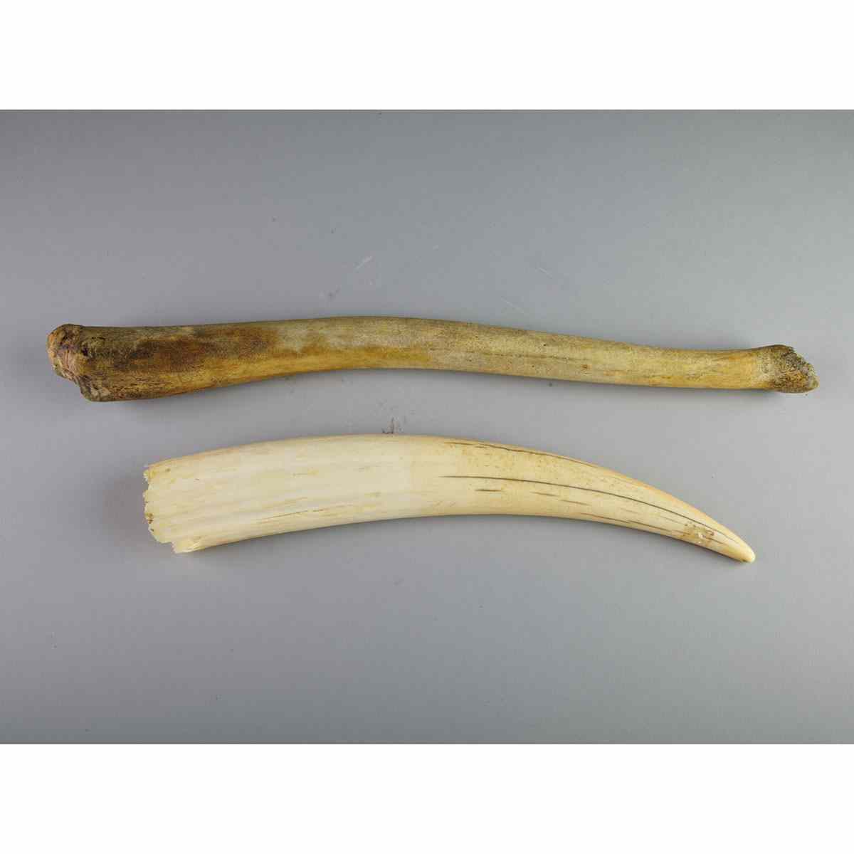 Appraisal: ANNIE NIVIAXIE - E - Kuujjuaraapik UNIDENTIFIED TUSK USIK Medium