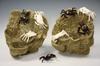 Appraisal: SCULPTURES - carved shell or ivory articulated crabs set loose