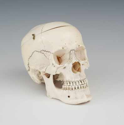 Appraisal: A Well Carved Ivory Model of a Skull Japanese th