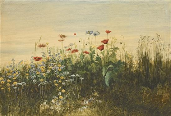 Appraisal: ANDREW NICHOLL Irish - Field of Flowers watercolor and gouache