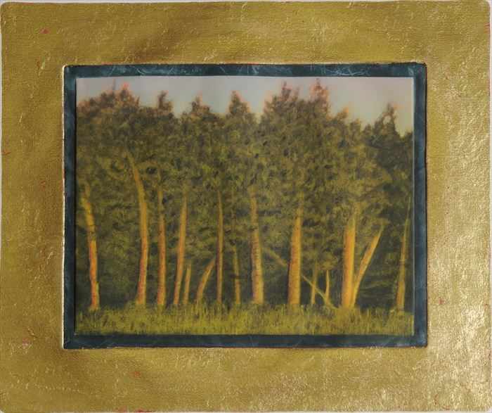 Appraisal: JOHN BEERMAN b PINE TREES Aquatint in colors with gold