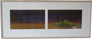 Appraisal: Ellie Diez Massaro th C hand colored diptych Image Size