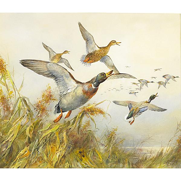 Appraisal: W E POWELL British - Watercolor on paper Mallards framed