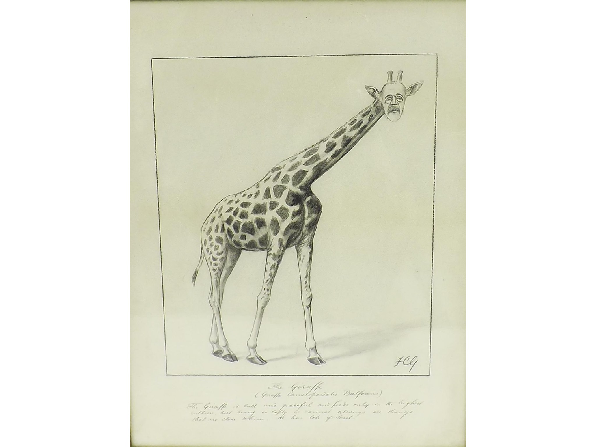 Appraisal: By Sir Francis Carruthers Gould - - 'The Giraffe' study