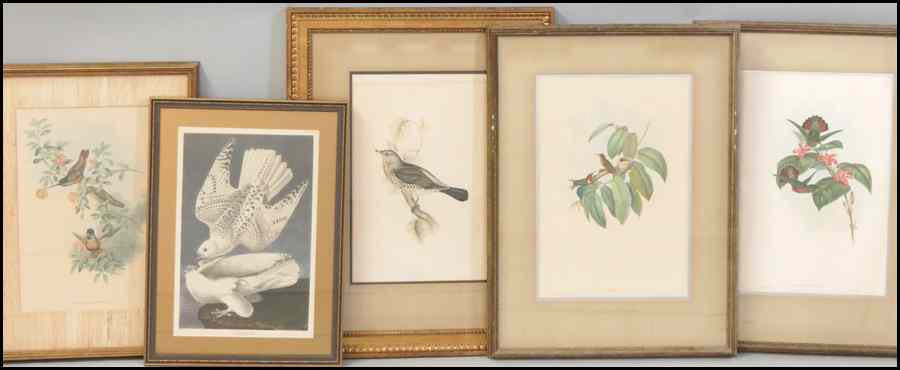 Appraisal: FOUR ORNITHOLIGICAL PRINTS AFTER J GOULD H C RICHTER Together