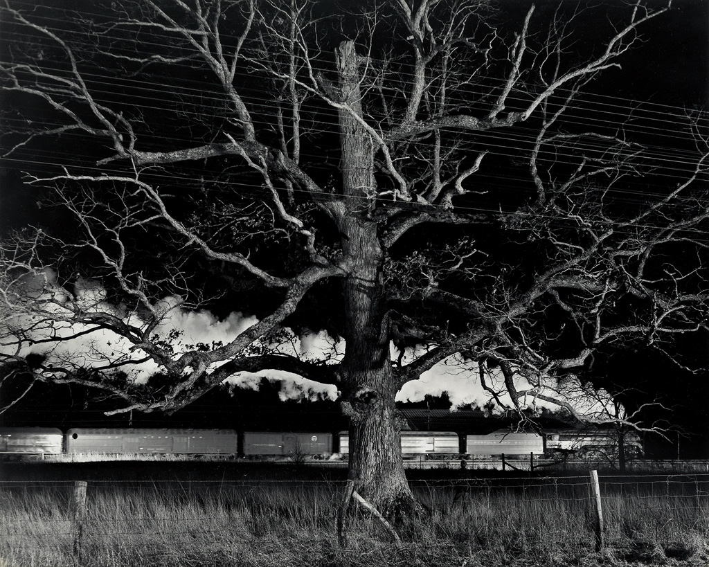 Appraisal: O WINSTON LINK - Giant Oak Silver print x inches