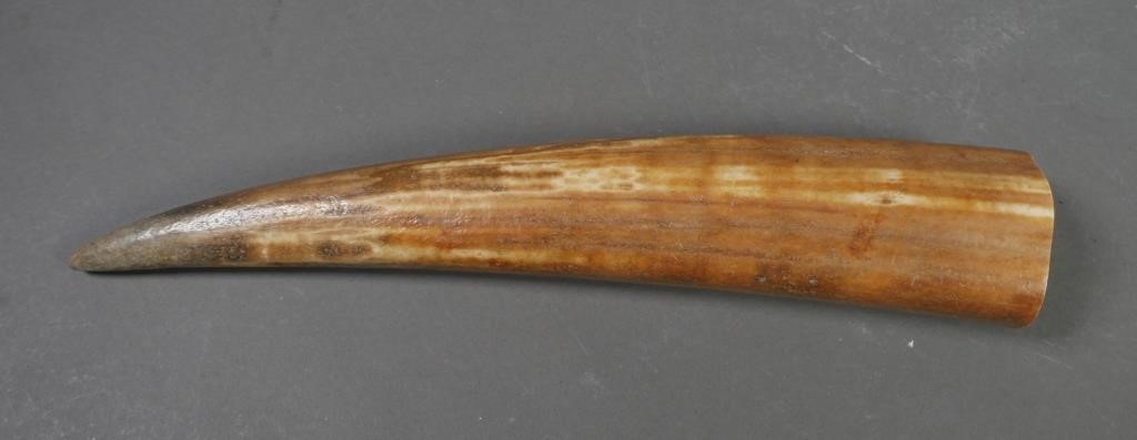 Appraisal: FOSSIL WALRUS IVORY TUSKFossilized walrus ivory tusk with variegated shades