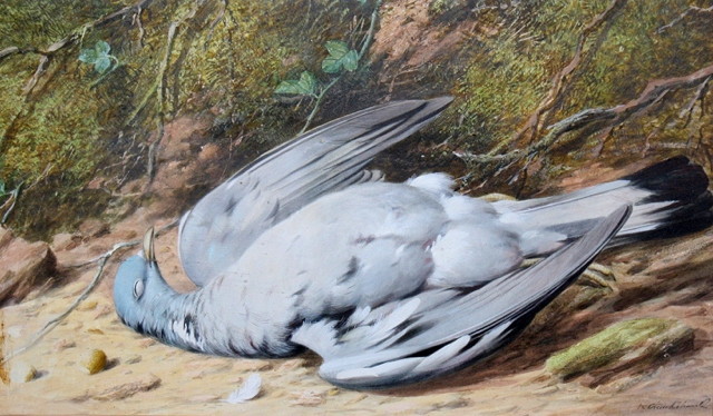 Appraisal: WILLIAM CRUICKSHANK - Still life - A dead pigeon on