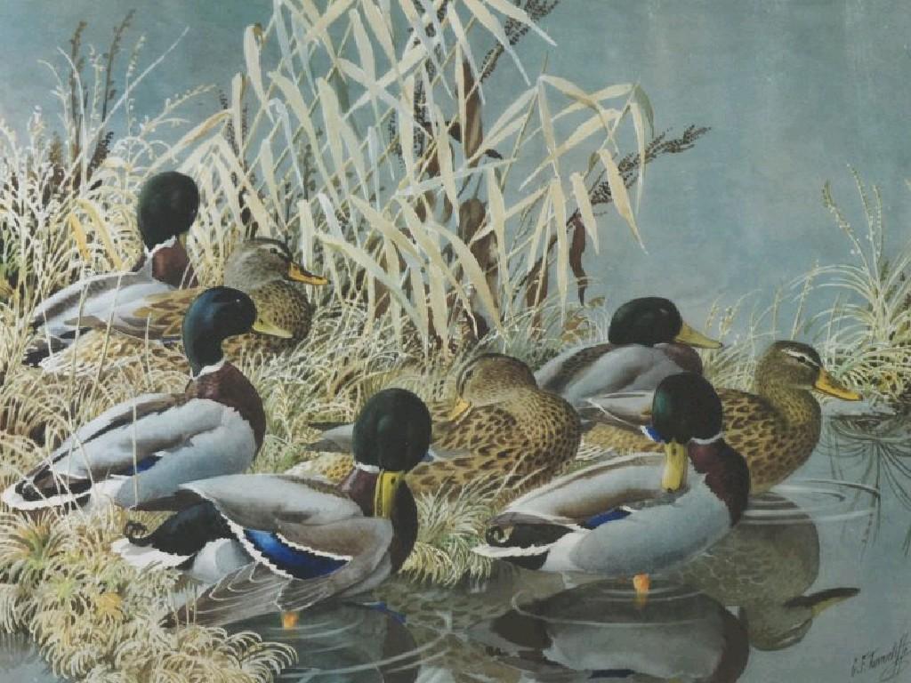 Appraisal: CHARLES FREDERICK TUNNICLIFFE - ARTIST SIGNED LIMITED EDITION COLOUR PRINT