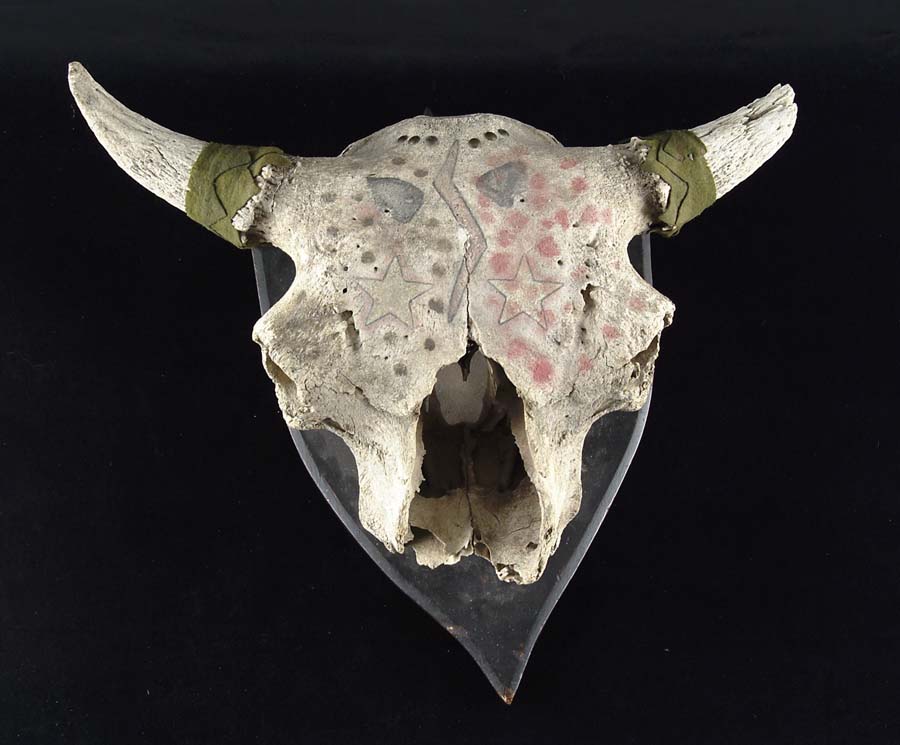 Appraisal: PLAINS BUFFALO BULL SKULL Owner states that the Moon family