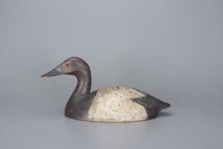 Appraisal: High-Head Canvasback Drake Isaiah Brown Port Rowan Ontario c in