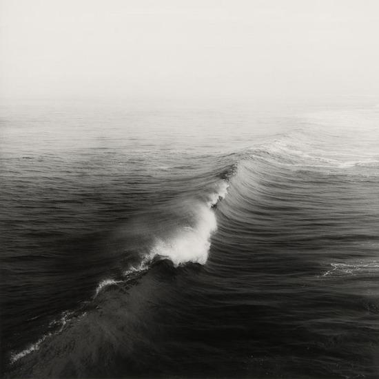 Appraisal: Sally Gall b Selected images - Four gelatin silver prints