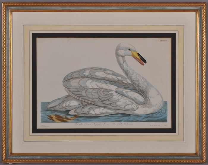 Appraisal: TWO DUCK STAMP PRINTS Each with stamp including Jackson M