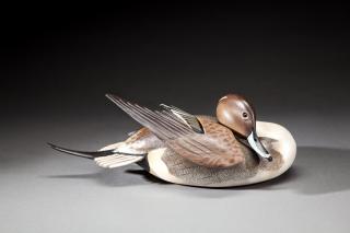 Appraisal: Preening Pintail Drake by The Ward Brothers Lemuel T Preening